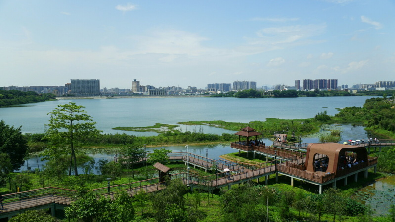盤點深圳十大最美公園，你最愛的是哪個公園？